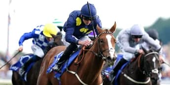 All roads lead to Haydock for Swingalong in Group One quest