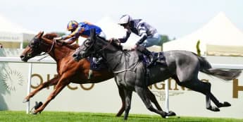 Lava Stream team mapping out ambitious schedule