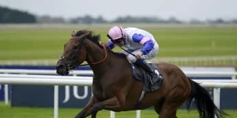 Irish Oaks Winner You Got To Me to Rest for Winter, Poised for Strong 2024 Comeback