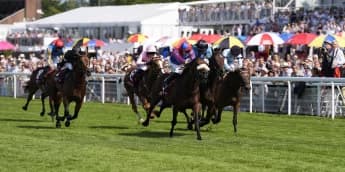 "Al Basti Equiworld Dubai Gimcrack Stakes: Big Mojo's Bold Step Up to Six Furlongs!"