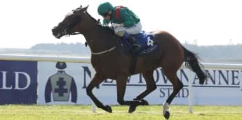 Tarawa takes Snow Fairy spoils for Weld