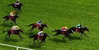 Tutty backing Blue Storm to make Bullet impact