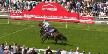 Lazy Griff Sets Sights on Group One Glory Following Chantilly Victory