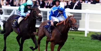 Haggas hoping Forest will blossom given further to travel