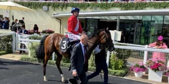 Cheveley Park's Star Chancellor Hits Roadblock—Will He Return in 2023 or Wait for 2024?