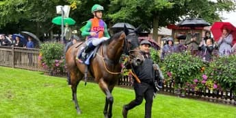 Williams eyeing international options for Hopeful hero Quinault