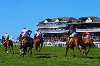 Ayr Racecourse: Scotland’s Premier Racing Venue