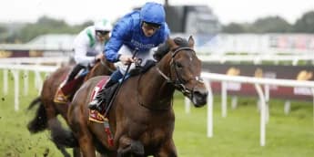 Appleby: Ancient Wisdom showing all the right signs