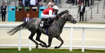 Haydock and Curragh on Cox’s shortlist for Jasour