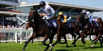 "Breakthrough Debut for Righthere Rightnow: Spencer Eyes Champagne Stakes After Impressive Win"