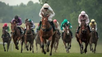 Irish Oaks Rematch: You Got To Me vs Content at York