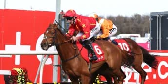 Nicol believes Wise Eagle will be ready to soar in Ebor