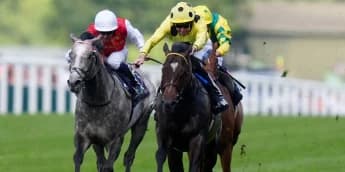 Inisherin Among 22 Entries for Betfair Sprint Cup at Haydock