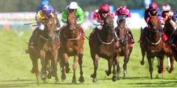 Portland hero Affair hunting Gold again at Ayr