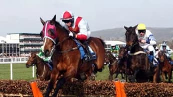 Cheltenham November Meeting: A Thrilling Jumps Showcase