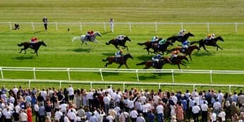 Lethal Levi Ayr Gold Cup bound after game Newbury win