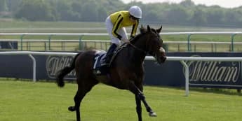Ambiente Friendly Poised for Epic Showdown Against Arc Favourite Look De Vega in Qatar Prix Niel