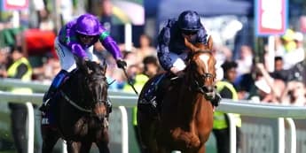 Channon now sure Caernarfon is best suited by mile trip