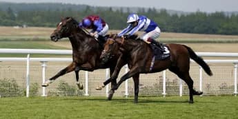 Jan Brueghel stakes Leger claim with gutsy Gordon Stakes win