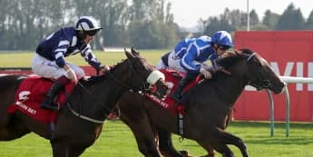 Sky Majesty reigns for Haggas at Ayr