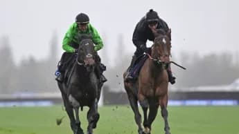 Constitution Hill's Return in Doubt Due to Lameness Issue