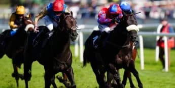 Wathnan Racing Targets Breeders' Cup Glory with Aesterius