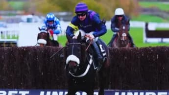 Tragic Losses at Cheltenham Highlight Racing's Risks