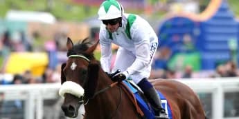 Irish Derby to come under consideration for Deira Mile