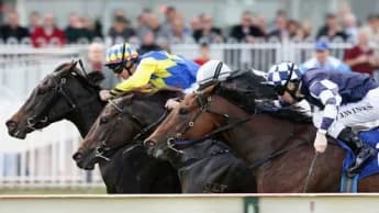 MRC Unveils Bold Plans for 2025 Caulfield Spring Carnival