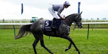 Wathnan Racing swoop for Irish Guineas heroine Fallen Angel