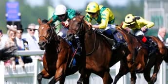 York trip could be on the Horizon for Dore