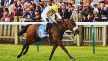 Disqualification Controversy: Alphonse Le Grande's Cesarewitch Win Reinstated