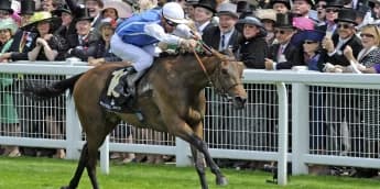 Goldikova Among New Inductees to Racing Hall of Fame on British Champions Day