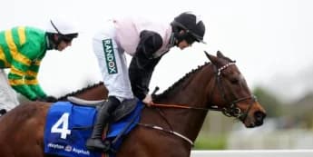 Heart Wood Shines at Michael Hickey Memorial Chase