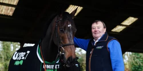 Constitution Hill Undergoes Wind Surgery Ahead of Season Return in Fighting Fifth Hurdle