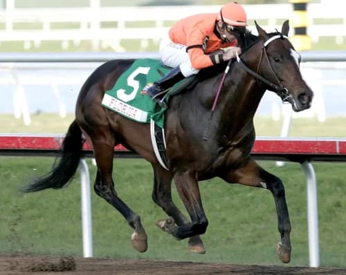 Lost in the Fog: A Legendary Sprint Champion