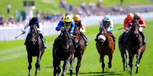 Never So Brave on course for Royal Ascot run