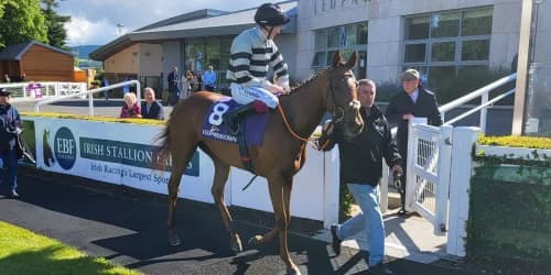 McCreery may be double-handed in search for second Matron win