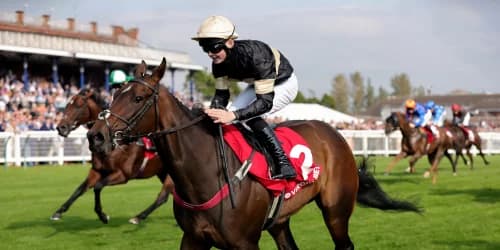 How Alfa Kellenic’s Sixth Straight Win Sparked Group Race Ambitions for Lidster's Stable Star