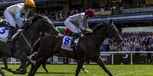 Simmering Eyes Final Group One Chance as Connections Weigh Options