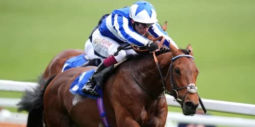 Bellum Justum to carry on with his global adventures