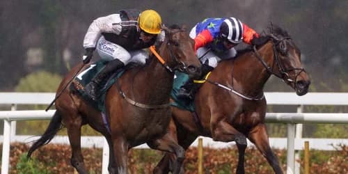 Murphy booked for Australia-bound Kitty Rose at Royal Ascot