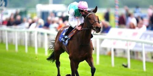 Bluestocking pounces on Emily Upjohn for Pretty Polly glory