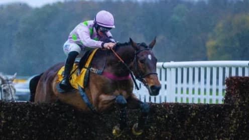 Royal Pagaille's Triumph Marks Ricci's 100th Win