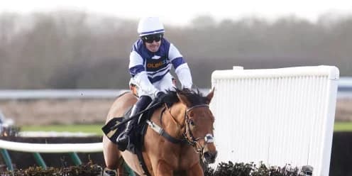 Givemefive Prepares for Cheltenham Hurdle Return
