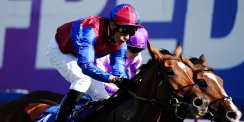 Jan Brueghel Withdrawn from Melbourne Cup Due to Injury
