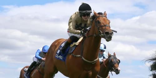 Osborne fears handicapper now has Ouzo in his grip