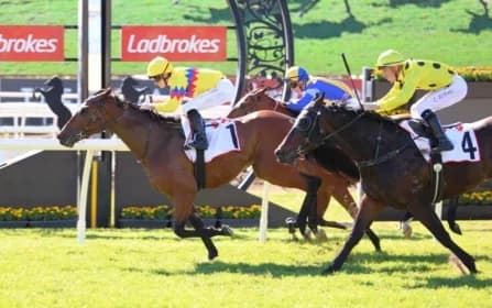 Freedom Rally: Gollan’s Next Star Rising in Racing