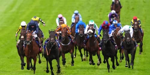 Ambiente Friendly supplemented for Irish Derby