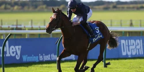 City Of Troy and Los Angeles top Derby list of 16